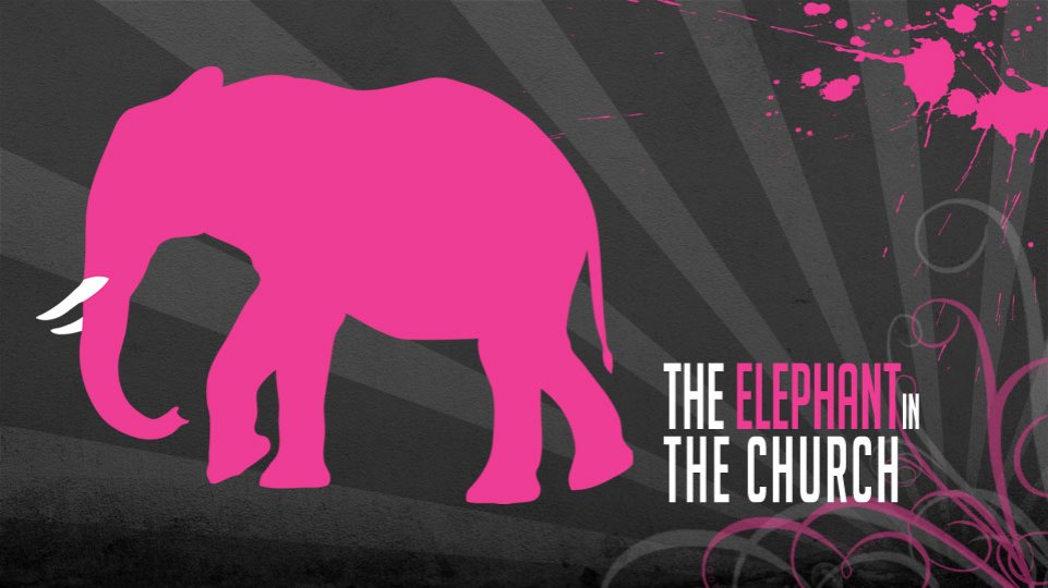 elephant-in-the-church-for-web-789344.jpg